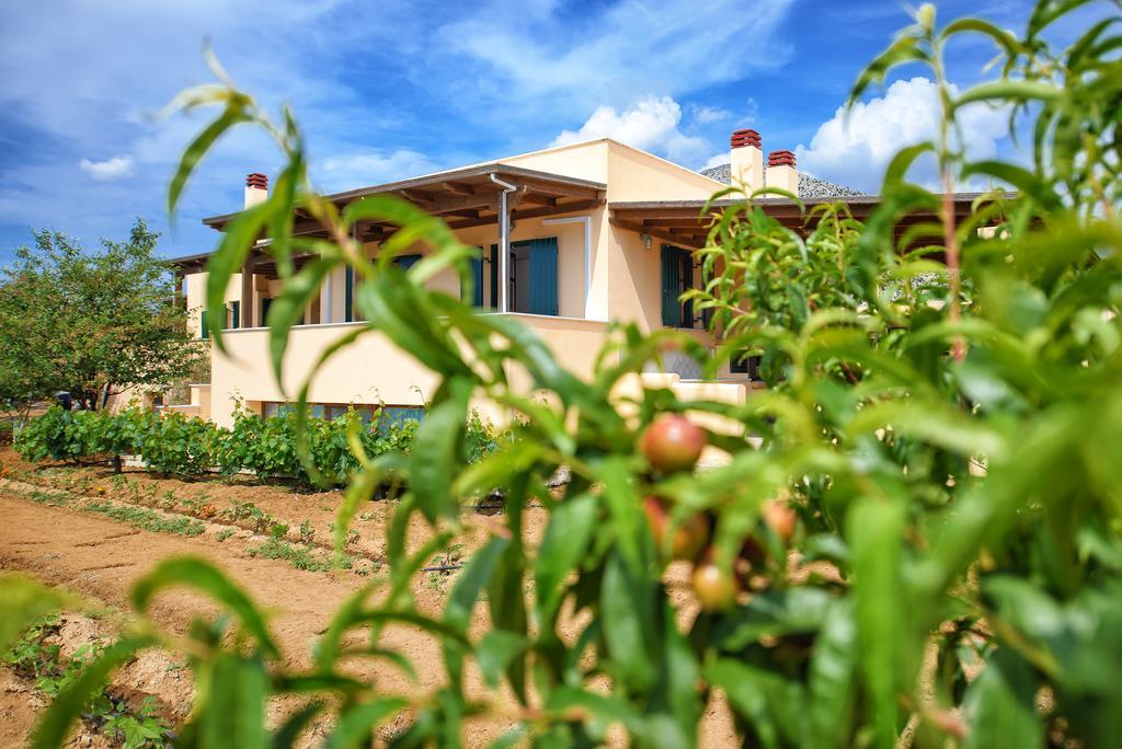 Naxos Cottage Kato Sangrion Dış mekan fotoğraf